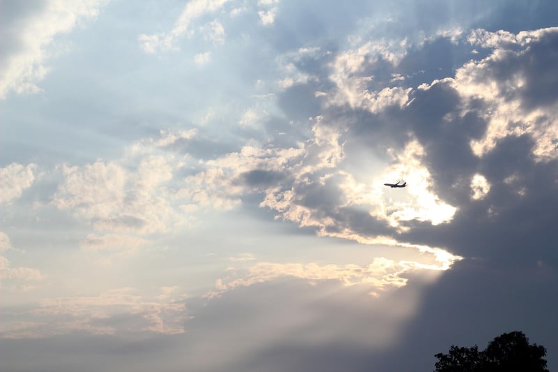Cinematic Journeys